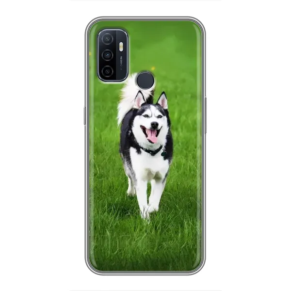 Чехол с принтом «Радостный Хаски» для OPPO A53