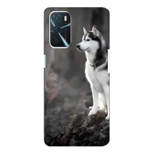 Чохол з Хаскі Oppo a54s - (AlphaPrint) (Вірний собака)