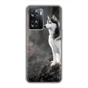 Чохол з Хаскі Oppo a57s - (AlphaPrint) (Вірний собака)