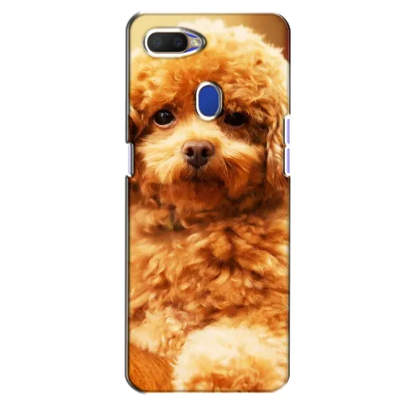 Чехол с принтом «Щенок Бишон» для OPPO A5s