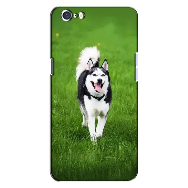 Чохол з принтом «Радісний Хаскі» для OPPO A71