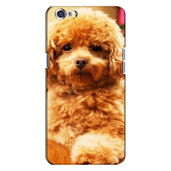 Чохол з принтом «Цуценя Бішон» для OPPO A71