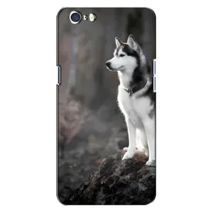 Чохол з Хаскі Oppo A71 - (AlphaPrint) (Вірний собака)