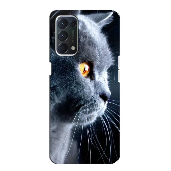 Чехол с принтом «Серый Кот» для OPPO A74 Чехол с принтом «Серый Кот» для OPPO A74