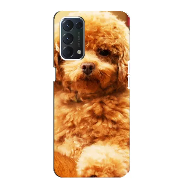 Чехол с принтом «Щенок Бишон» для OPPO A74