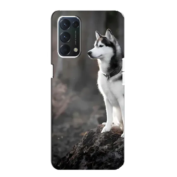 Чехол с принтом «Верный пес» для OPPO A74