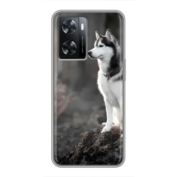 Чехол с принтом «Верный пес» для OPPO A77