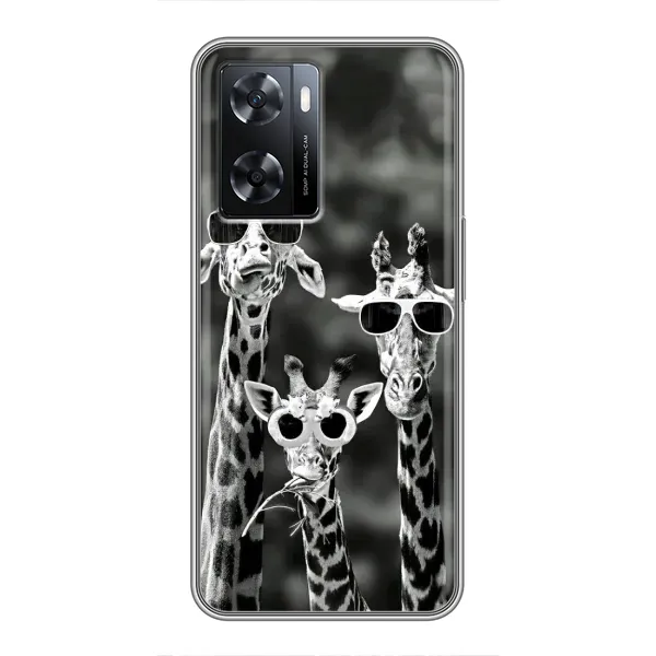Чохол з принтом «Жирафи в окулярах» для OPPO A77
