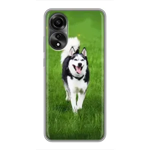 Чехол с Хаски для OPPO A78 (4G) - (AlphaPrint) (Радостный Хаски)