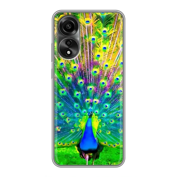 Чехол с принтом «Яркий Павлин» для OPPO A78 (4G)