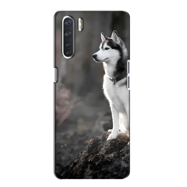 Чехол с принтом «Верный пес» для OPPO A91 Чехол с принтом «Верный пес» для OPPO A91