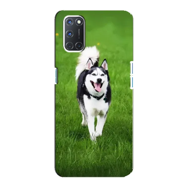 Чехол с принтом «Радостный Хаски» для OPPO A92 Чехол с принтом «Радостный Хаски» для OPPO A92