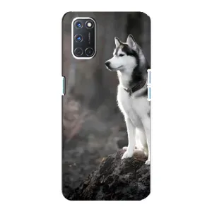 Чехол с Хаски для Oppo A92 - (AlphaPrint) (Верный пес)
