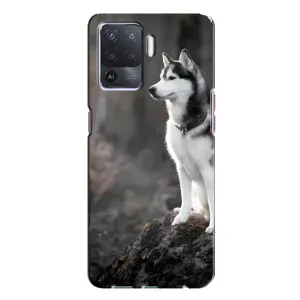 Чохол з Хаскі Oppo A94 - (AlphaPrint) (Вірний собака)