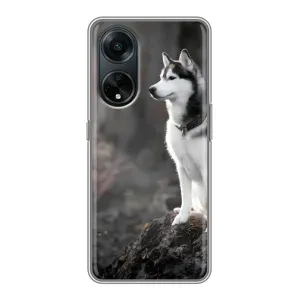 Чехол с Хаски для Oppo A98 - (AlphaPrint) (Верный пес)