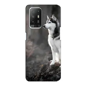 Чехол с Хаски для Oppo F19 Pro Plus 5G - (AlphaPrint) (Верный пес)
