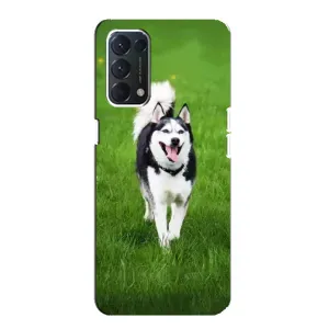 Чехол с Хаски для Oppo Find X3 Lite - (AlphaPrint) (Радостный Хаски)