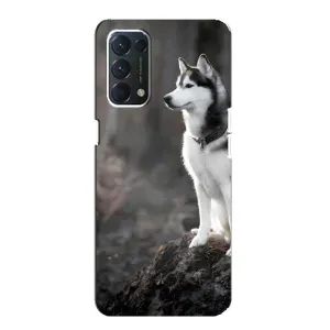 Чехол с Хаски для Oppo Find X3 Lite - (AlphaPrint) (Верный пес)