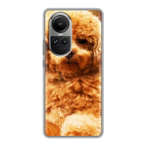 Чехол с принтом «Щенок Бишон» для OPPO Reno 10 Pro Чехол с принтом «Щенок Бишон» для OPPO Reno 10 Pro