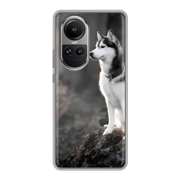 Чехол с принтом «Верный пес» для OPPO Reno 10 Pro Чехол с принтом «Верный пес» для OPPO Reno 10 Pro