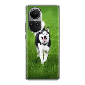 Чехол с Хаски для Oppo Reno 10 - (AlphaPrint) (Радостный Хаски)