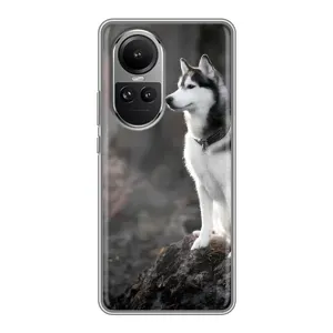 Чехол с Хаски для Oppo Reno 10 - (AlphaPrint) (Верный пес)