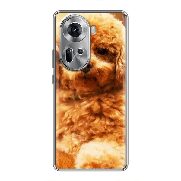 Чехол с принтом «Щенок Бишон» для OPPO Reno 11 5G