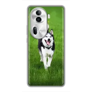 Чохол з Хаскі Oppo Reno 11 Pro 5G - (AlphaPrint) (Радісний Хаскі)