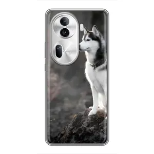 Чохол з Хаскі Oppo Reno 11 Pro 5G - (AlphaPrint) (Вірний собака)