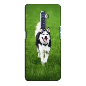 Чехол с Хаски для Oppo Reno 2 - (AlphaPrint) (Радостный Хаски)
