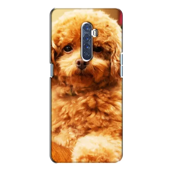 Чехол с принтом «Щенок Бишон» для OPPO Reno 2