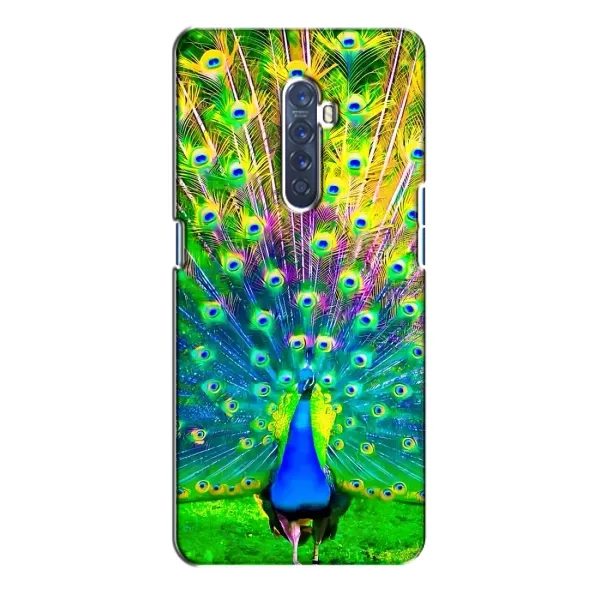 Чехол с принтом «Яркий Павлин» для OPPO Reno 2