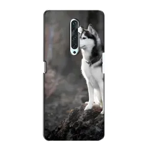 Чохол з Хаскі Oppo Reno 2Z - (AlphaPrint) (Вірний собака)