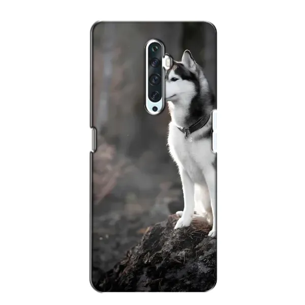 Чохол з принтом «Вірний собака» для OPPO Reno 2Z