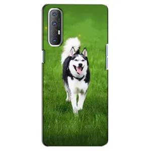 Чехол с Хаски для Oppo Reno 3 Pro - (AlphaPrint) (Радостный Хаски)