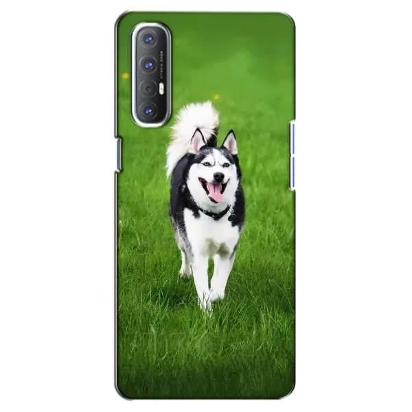 Чехол с принтом «Радостный Хаски» для OPPO Reno 3 Pro