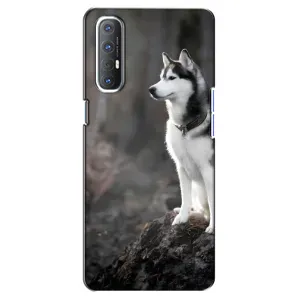 Чехол с Хаски для Oppo Reno 3 Pro - (AlphaPrint) (Верный пес)