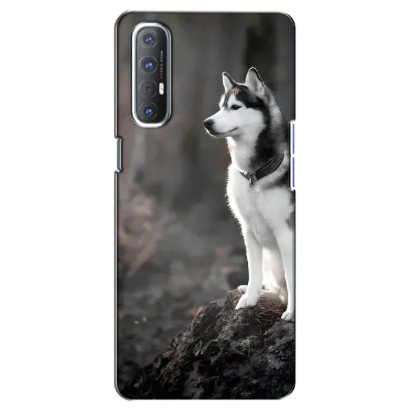 Чехол с принтом «Верный пес» для OPPO Reno 3 Pro