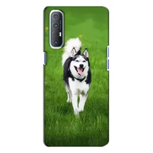 Чохол з Хаскі Oppo Reno 3 - (AlphaPrint) (Радісний Хаскі)