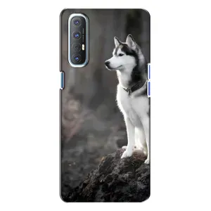 Чохол з Хаскі Oppo Reno 3 - (AlphaPrint) (Вірний собака)