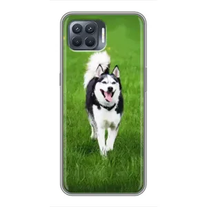 Чехол с Хаски для OPPO Reno 4 Lite - (AlphaPrint) (Радостный Хаски)