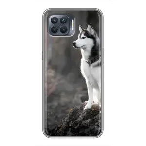 Чехол с Хаски для OPPO Reno 4 Lite - (AlphaPrint) (Верный пес)