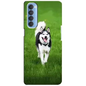 Чехол с Хаски для Oppo Reno 4 Pro - (AlphaPrint) (Радостный Хаски)