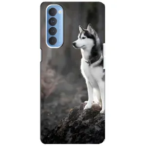 Чехол с Хаски для Oppo Reno 4 Pro - (AlphaPrint) (Верный пес)