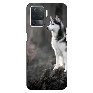 Чохол з Хаскі OPPO Reno 5 Lite - (AlphaPrint) (Вірний собака)