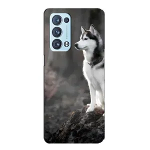 Чехол с Хаски для Oppo Reno6 Pro 5G - (AlphaPrint) (Верный пес)