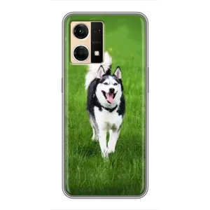 Чехол с Хаски для Oppo Reno7 Pro 5G - (AlphaPrint) (Радостный Хаски)