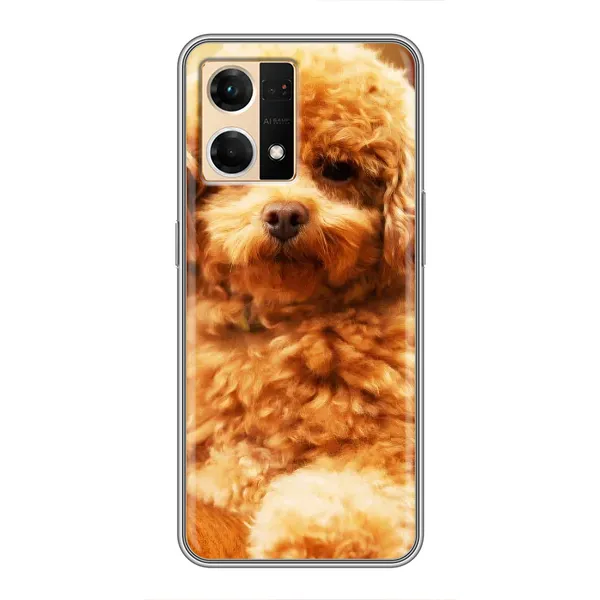 Чехол с принтом «Щенок Бишон» для OPPO Reno7 4G Чехол с принтом «Щенок Бишон» для OPPO Reno7 4G