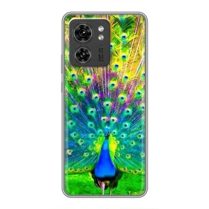 Чехол с птицами на OPPO Reno 8 Pro 5G (VPrint) (Яркий Павлин)