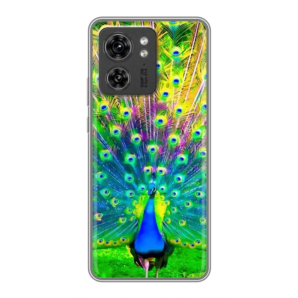 Чехол с принтом «Яркий Павлин» для OPPO Reno 8 Pro 5G Чехол с принтом «Яркий Павлин» для OPPO Reno 8 Pro 5G